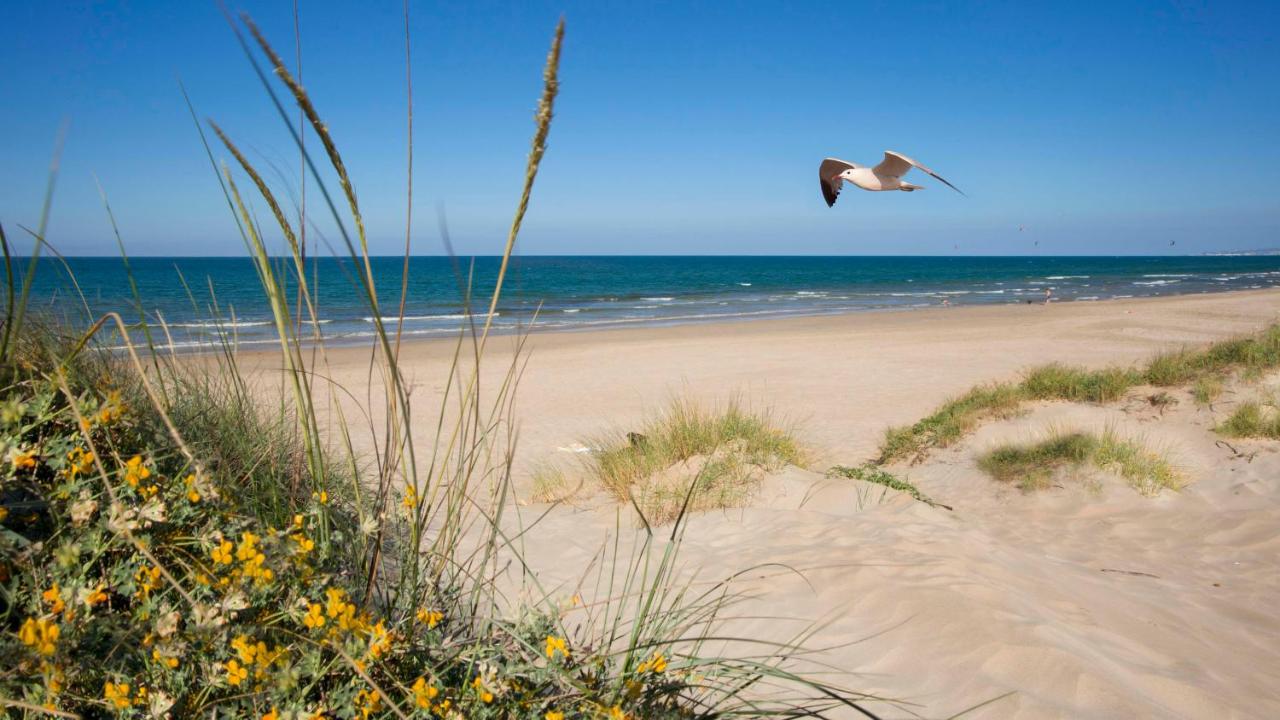 OLIVA HOLIDAYS 1, Oliva – Bijgewerkte prijzen 2022