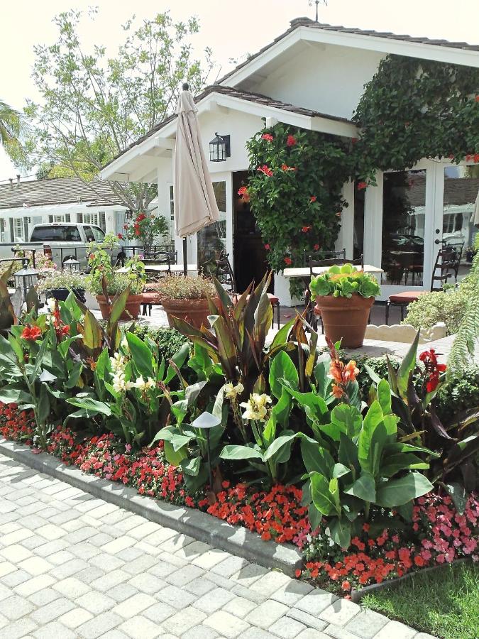 Marina Beach Hotel — photo 16