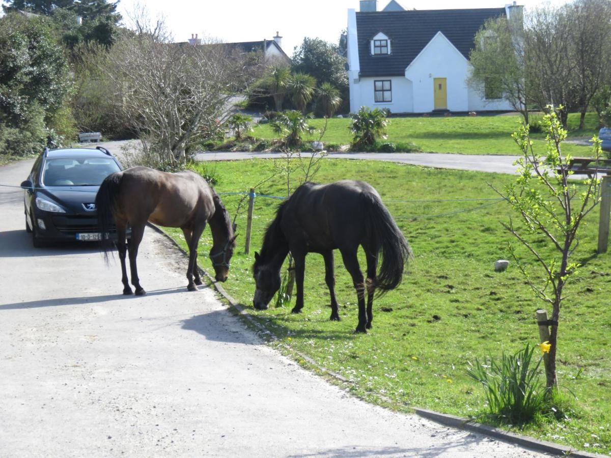 Letterfrack Farmhouse on equestrian farm in Letterfrack