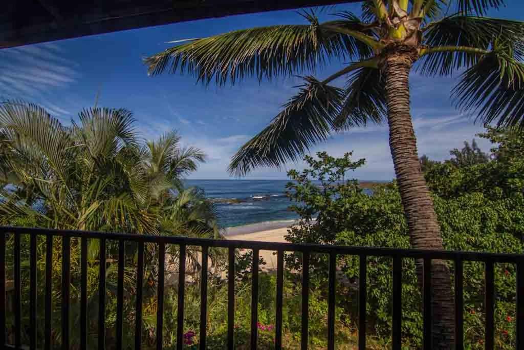 Backpackers Vacation Inn and Plantation Village — photo 4
