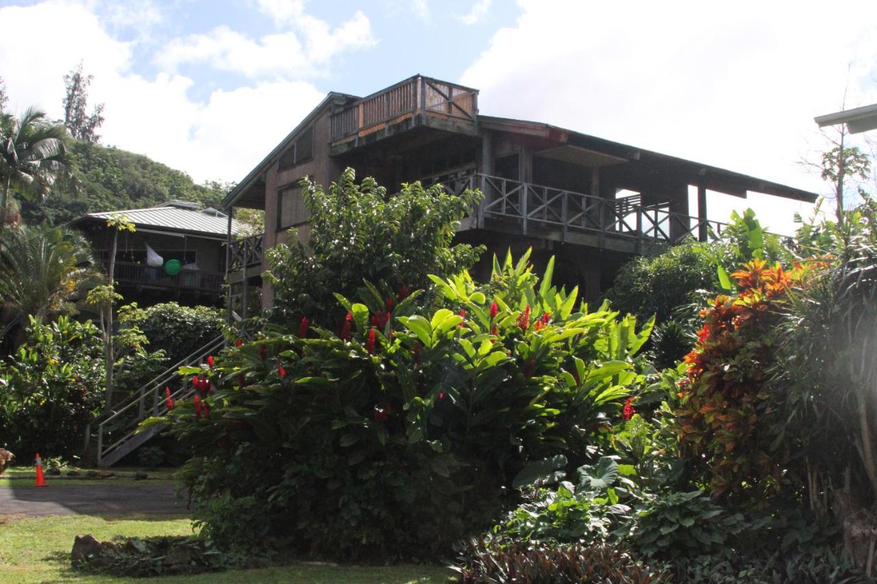 Backpackers Vacation Inn and Plantation Village — photo 14