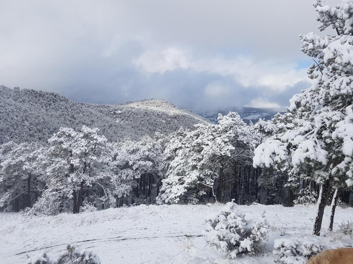 Acogedora casa en la montaña, La Virgen de la Vega – Precios ...