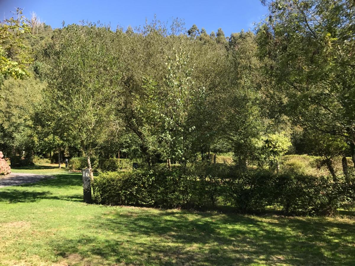 Camping Amaido (Spagna San Tirso de Abres) - Booking.com