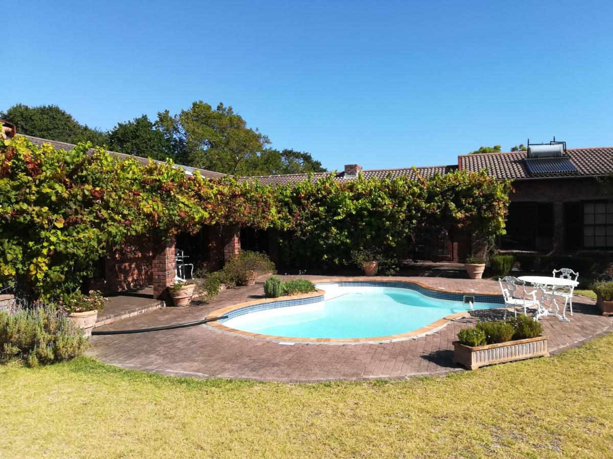 Le Petit Vignoble - 4