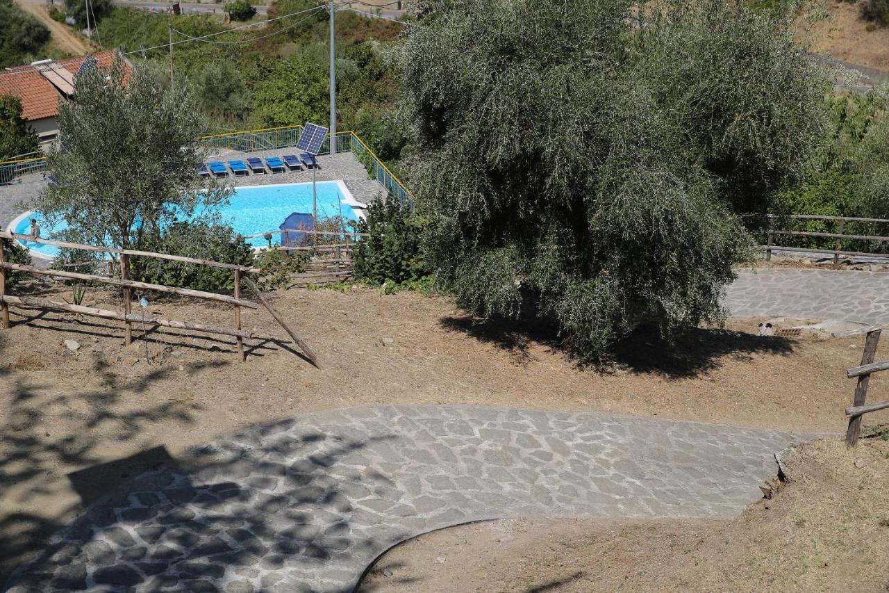 Agriturismo Il Sole photo