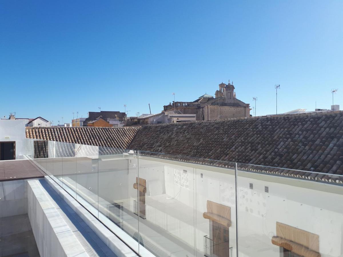 Rooftop swimming pool: One Shot Palacio Conde de Torrejón 09