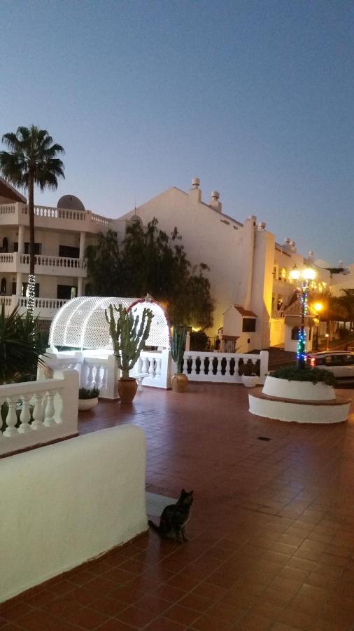 Apartamento Port Royale, Los Cristianos – Bijgewerkte prijzen ...