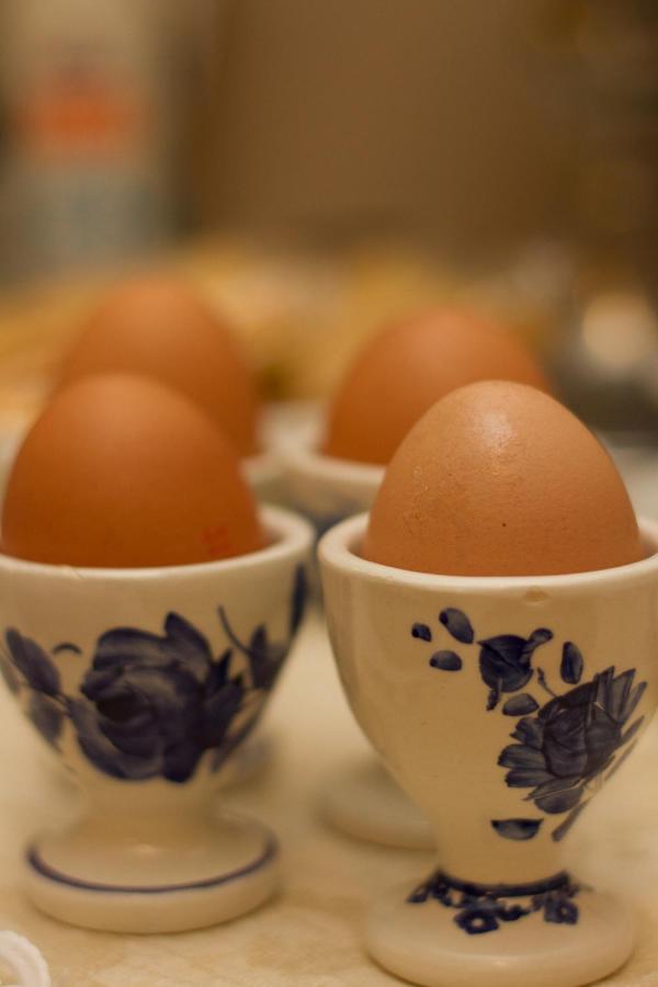 Albergo della Ceramica photo