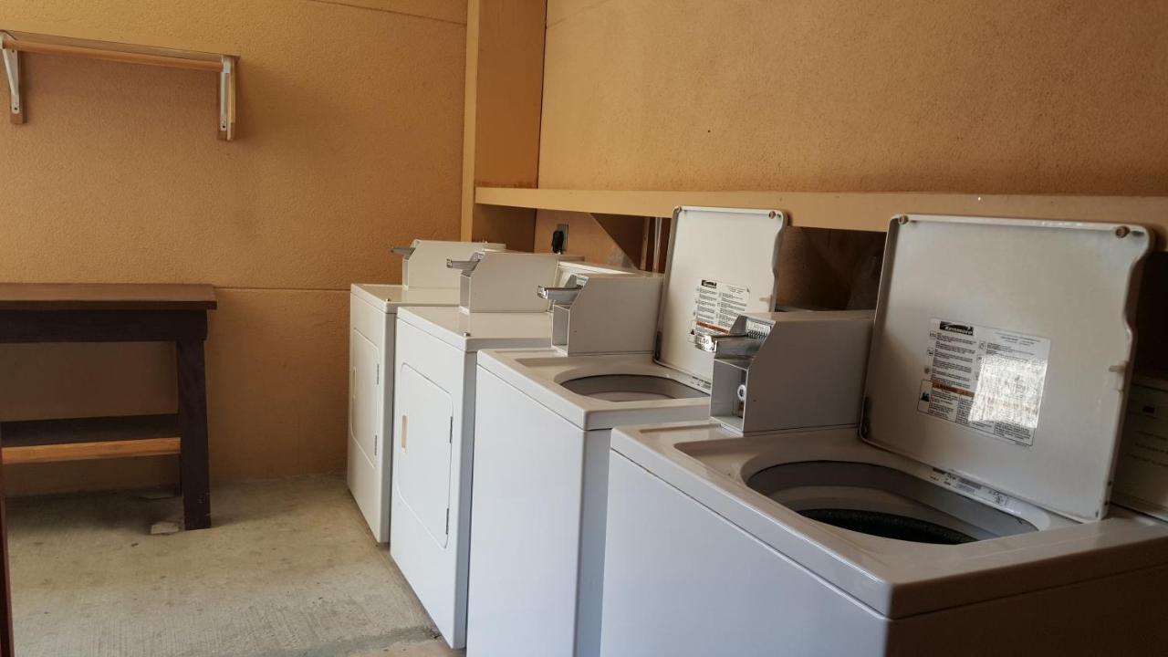 Executive inn and suites — photo 16