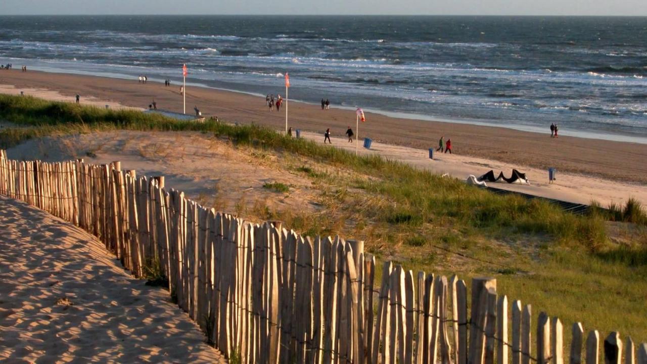 Beach: Sea Star Egmond aan Zee
