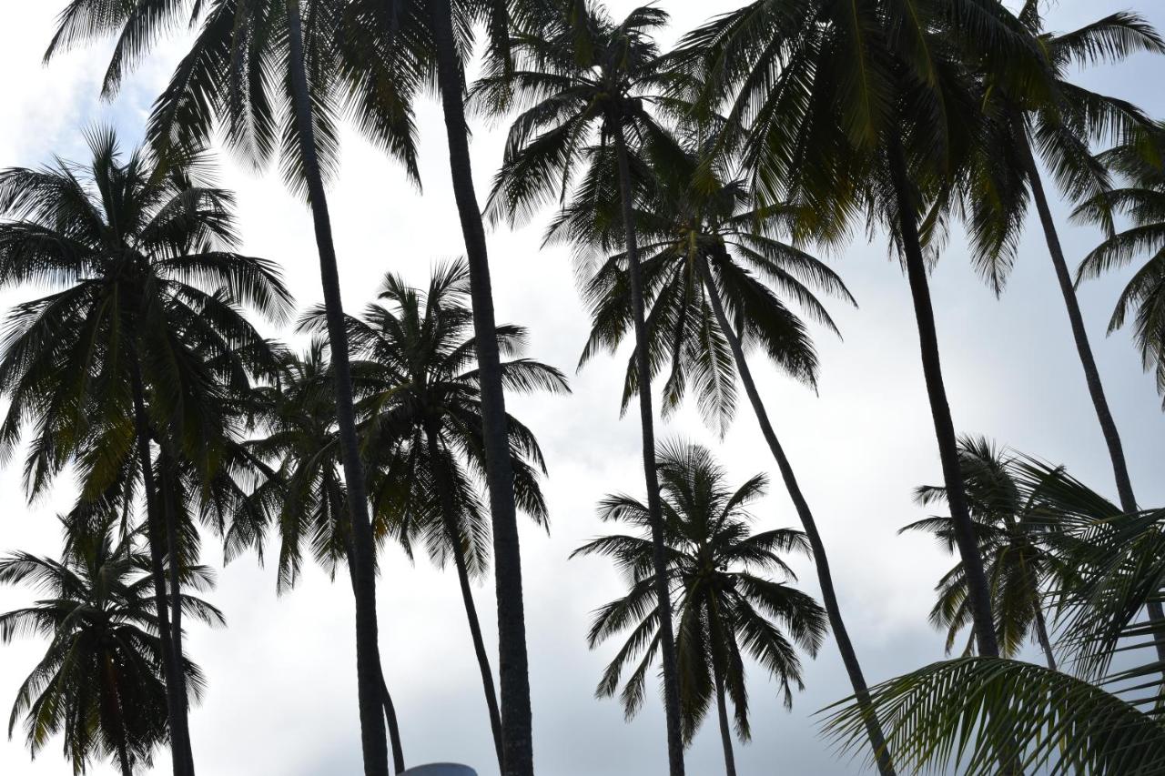 Flamboyant Beach House photo