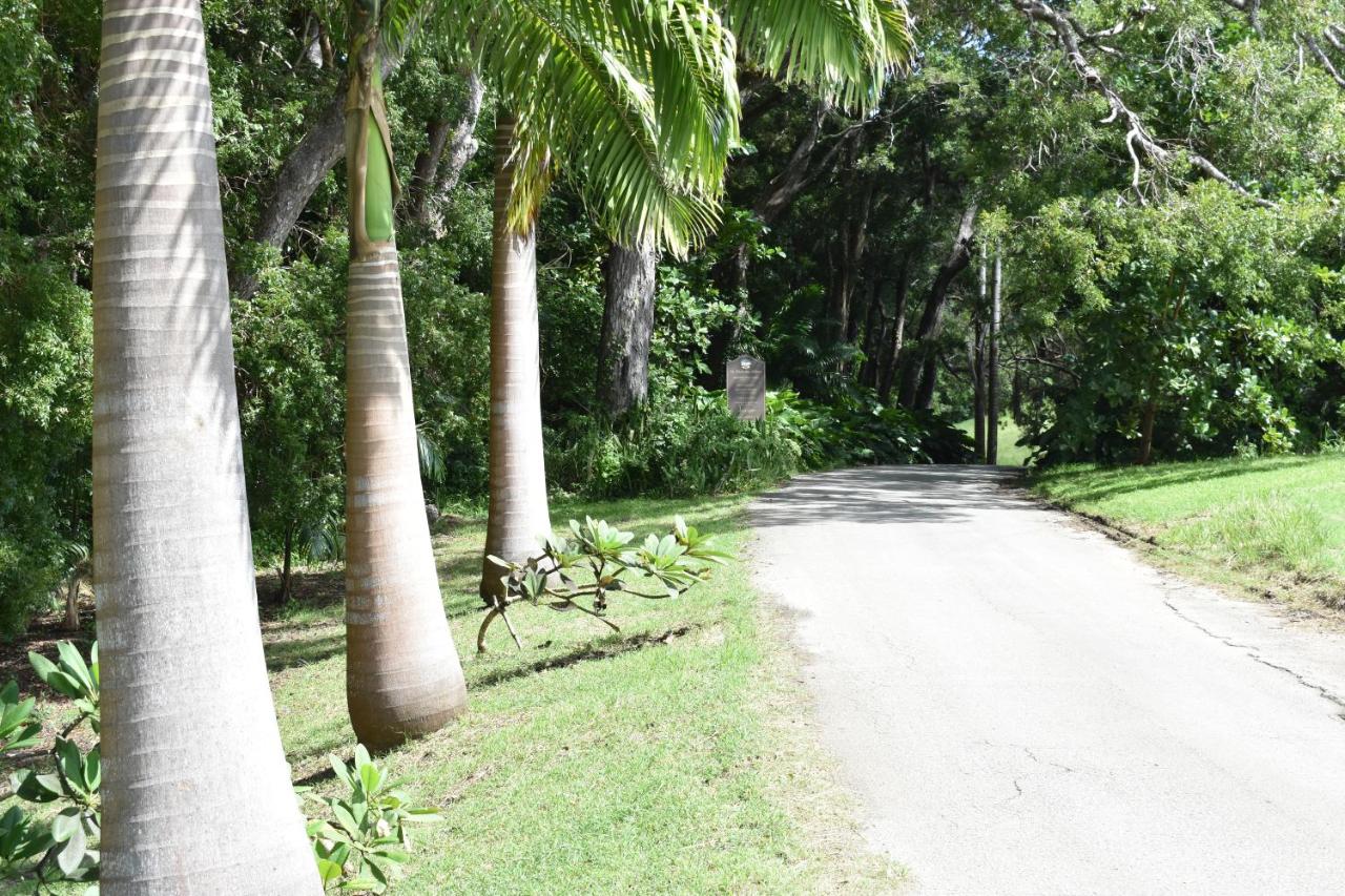 Flamboyant Beach House photo