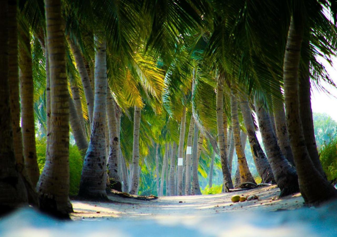 Alesara Guest House - 2