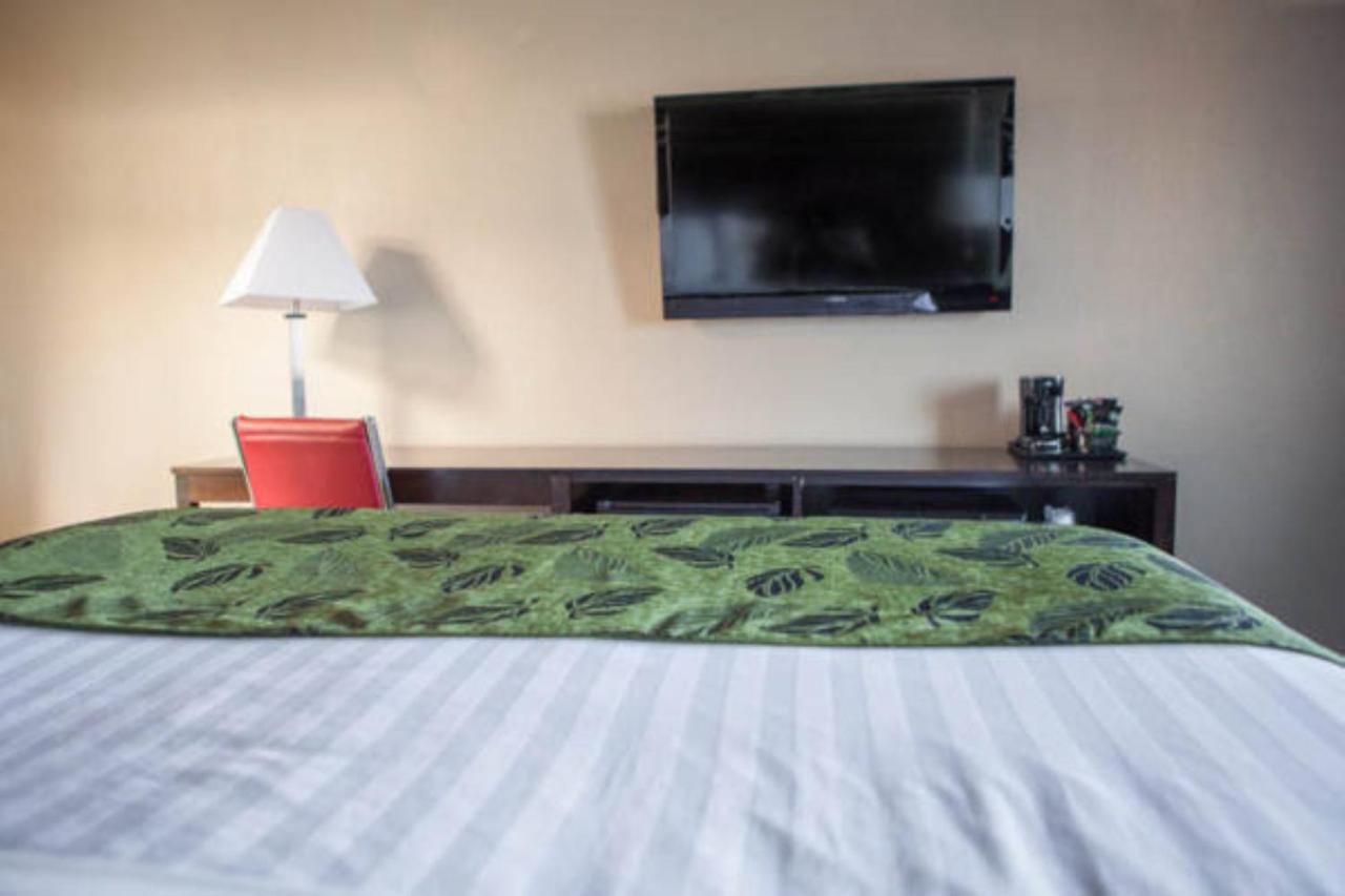 Capri Motel — photo 22
