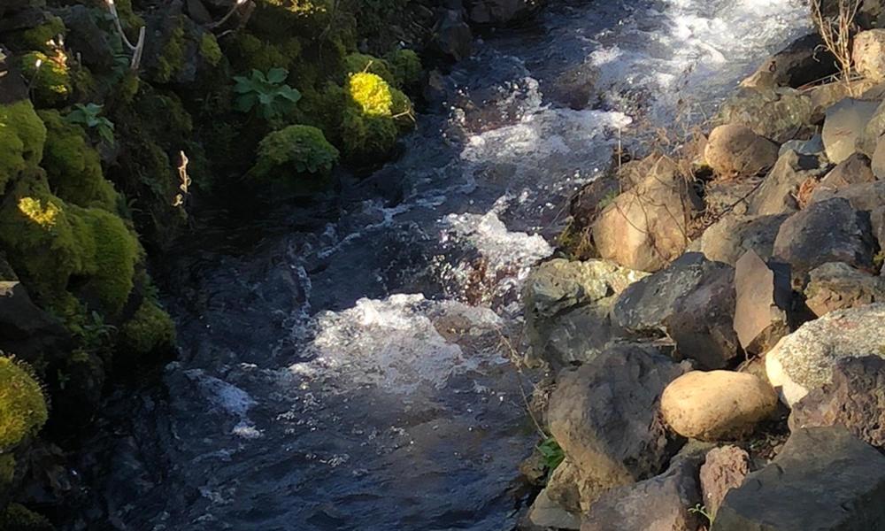 The Waterfront at Potlatch — photo 17