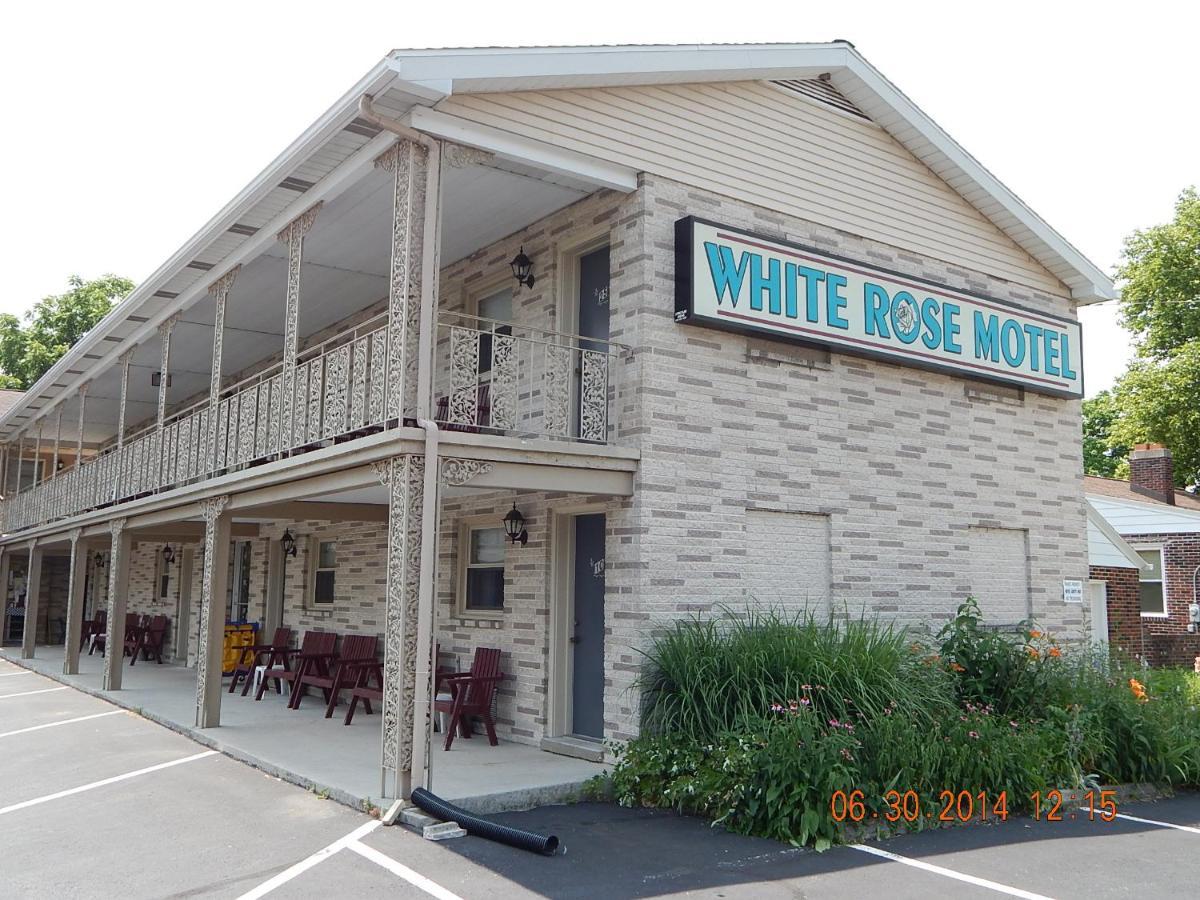 White Rose Motel - Hershey — photo 14