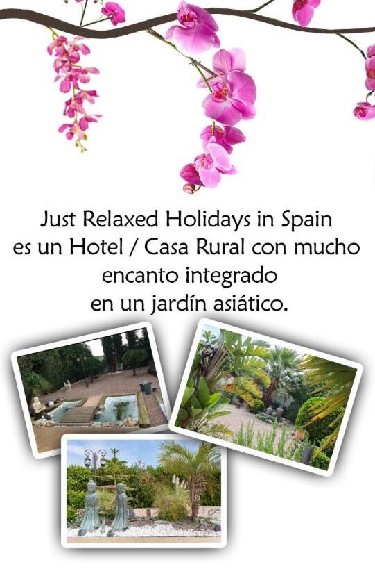 Guesthouse Just Relaxed Holidays in Spain, La Marina, Spain ...