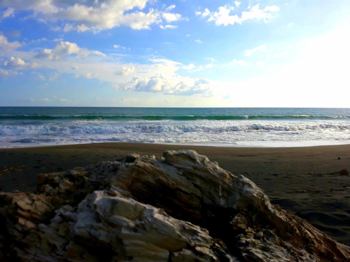 Beach: Las Olas Beach Resort