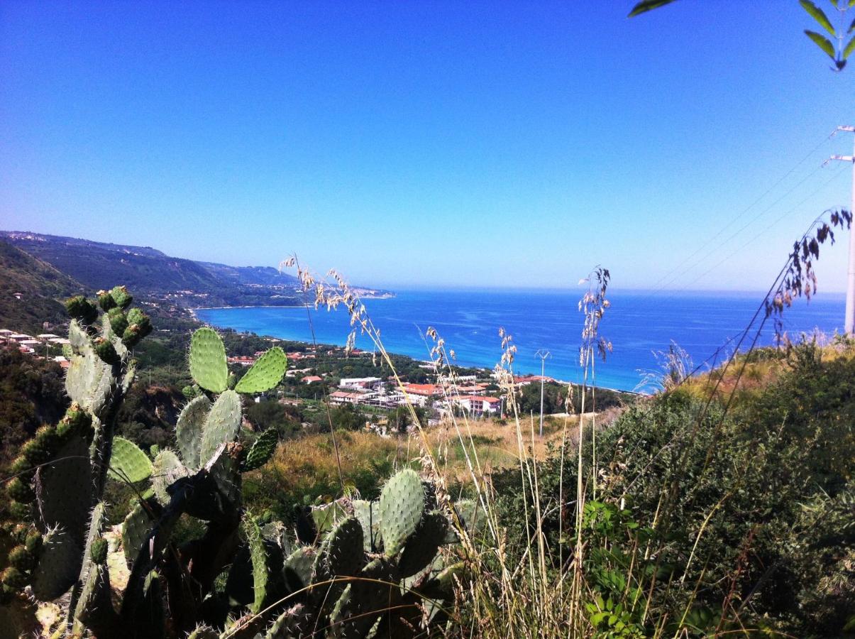 Residenza Mediterranea photo