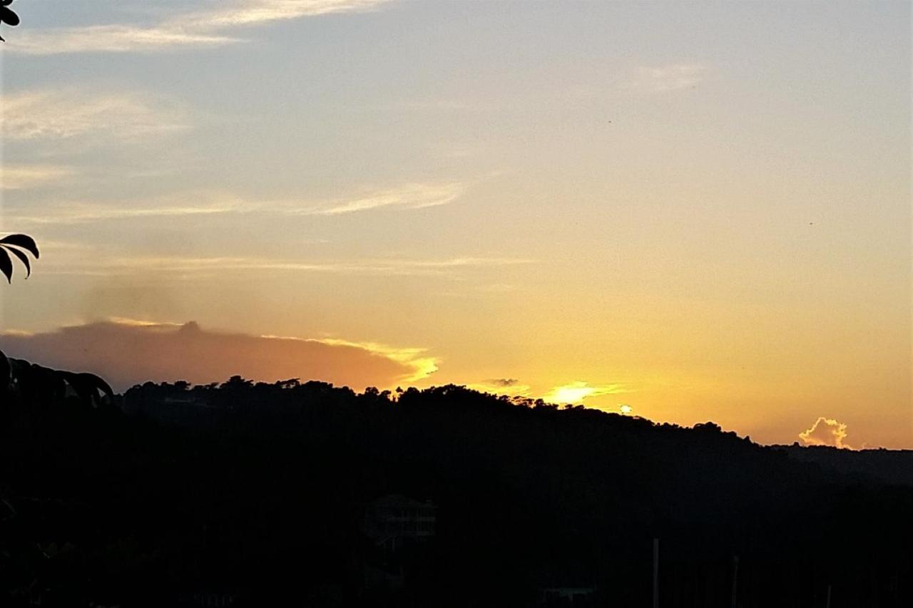 Bailey's Bed and Breakfast - 4