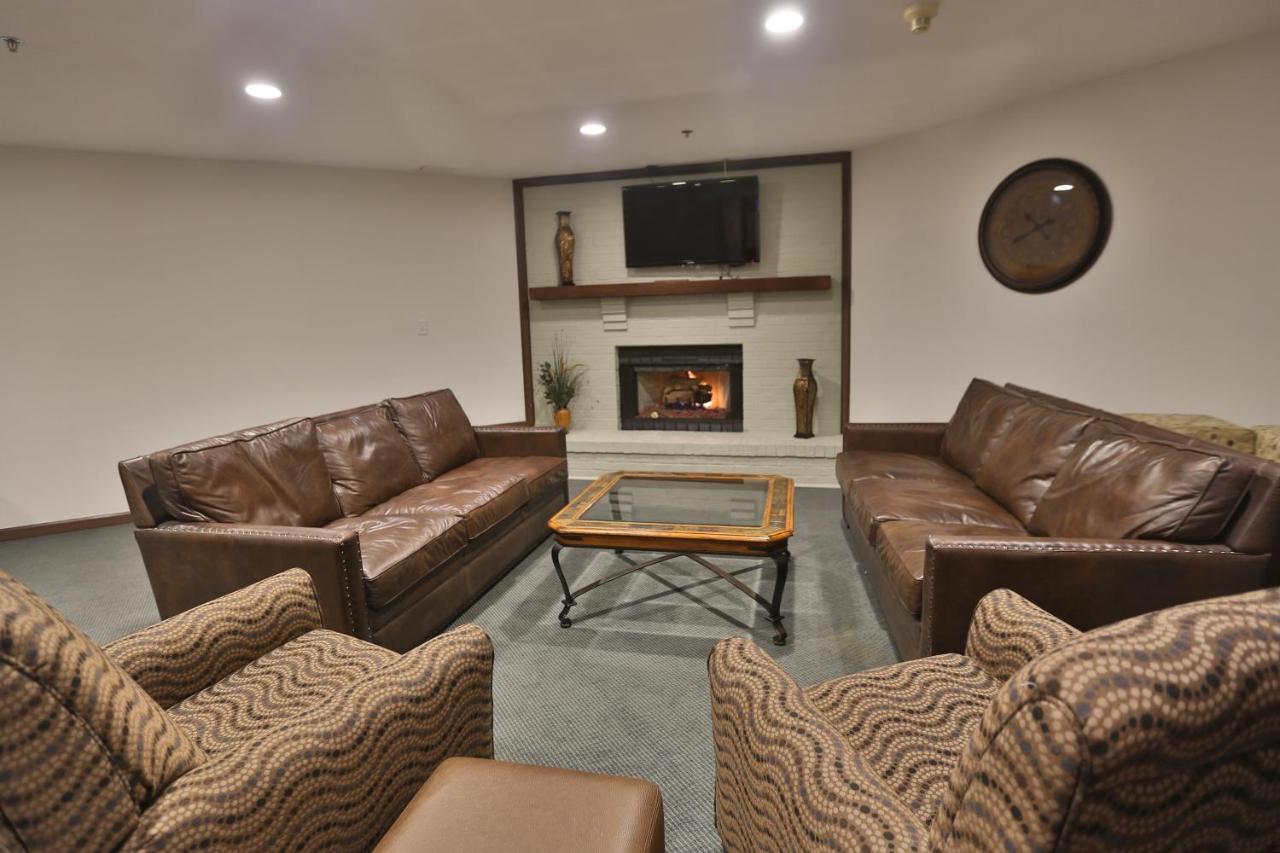 Ivy Court Inn and Suites — photo 10