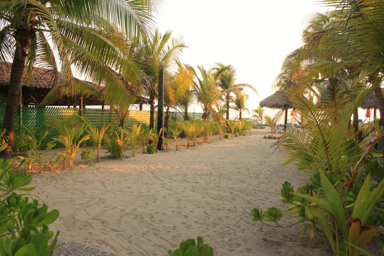 Bungalows Tree Tops - Adults Only photo
