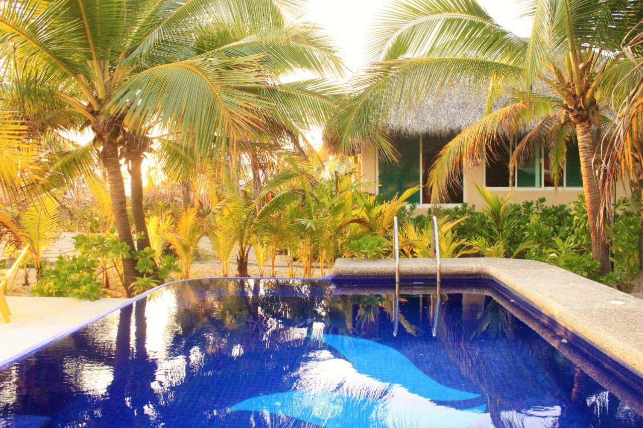 Bungalows Tree Tops - Adults Only photo