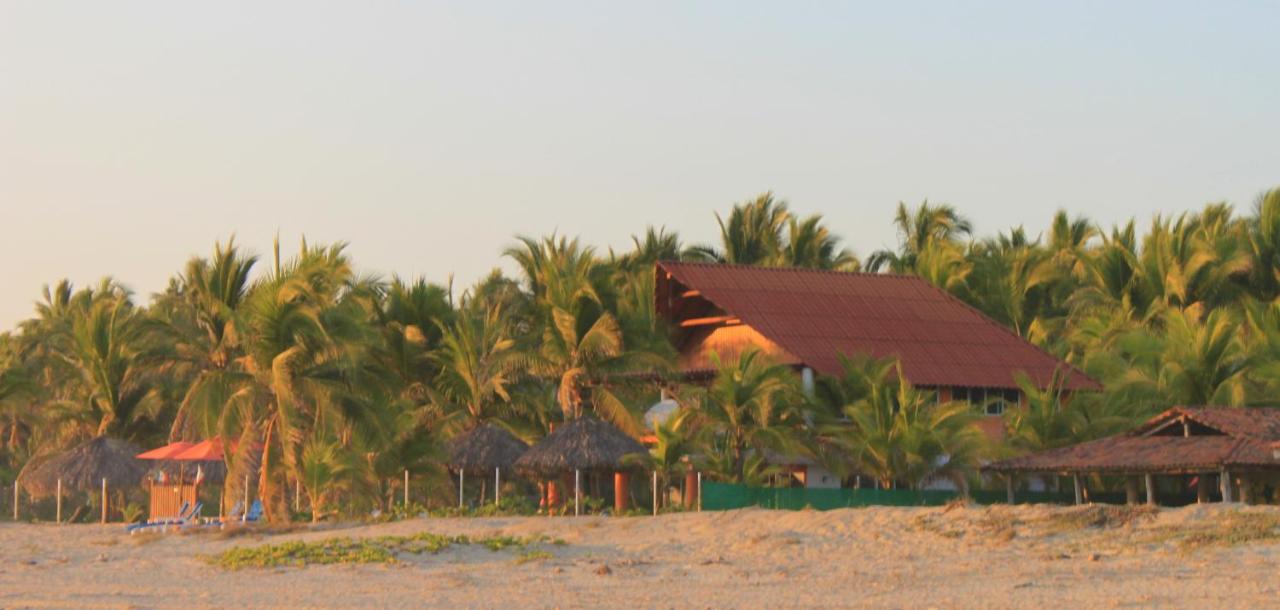 Bungalows Tree Tops - Adults Only photo