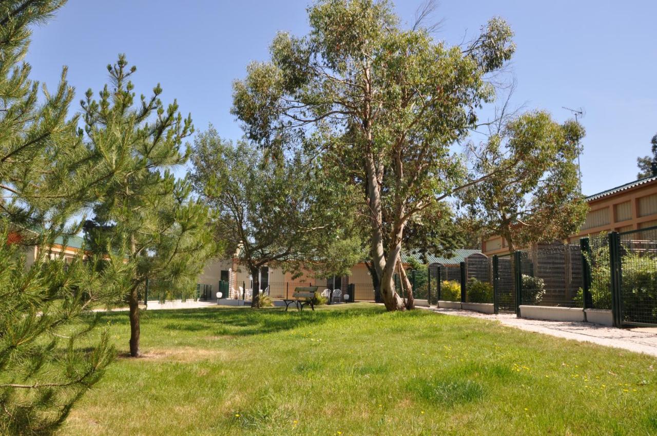 Villa Des Pins St Hilaire De Riez