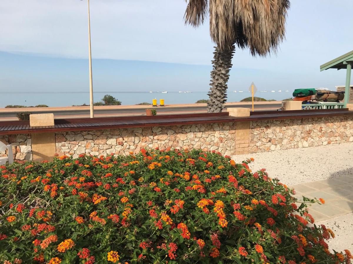 Beach: Shark Bay Seafront Apartments