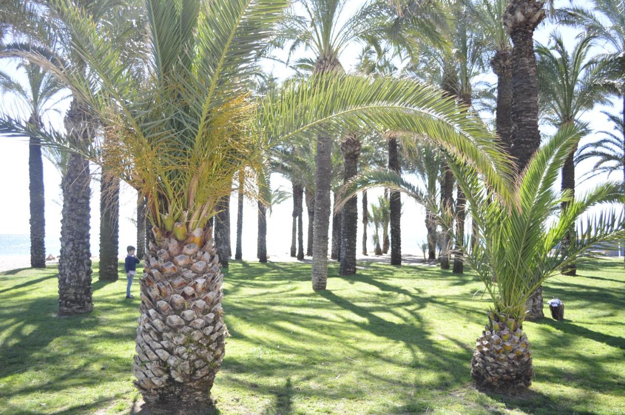 Triana, Torremolinos – Precios actualizados 2022
