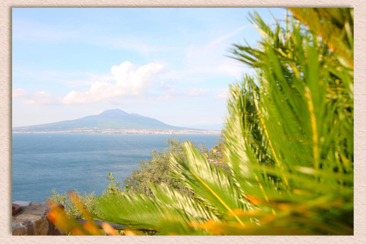 Villa Ketty Resort photo