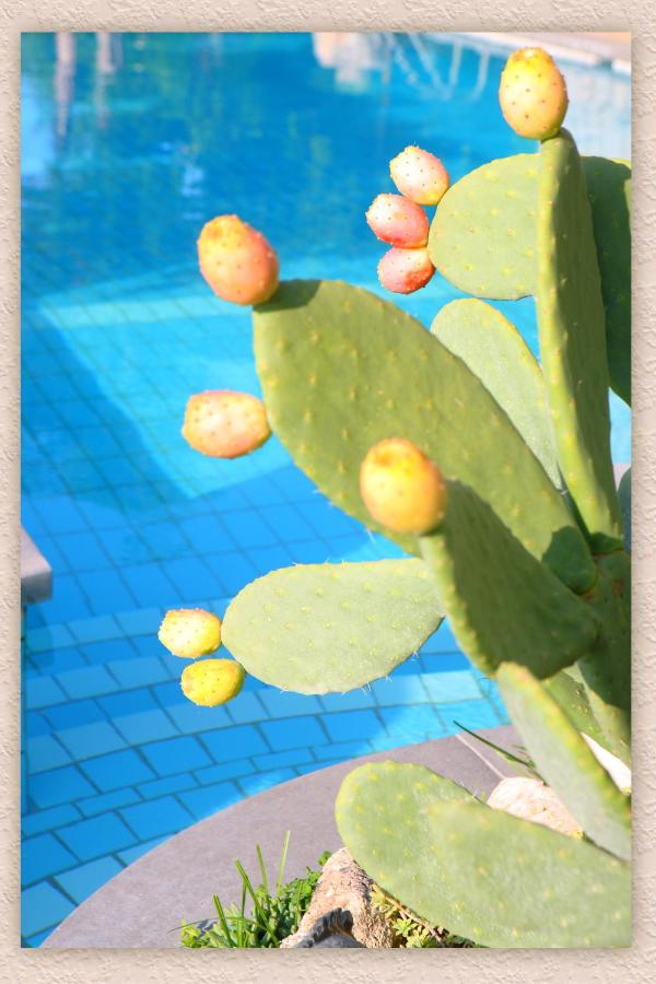 Villa Ketty Resort photo