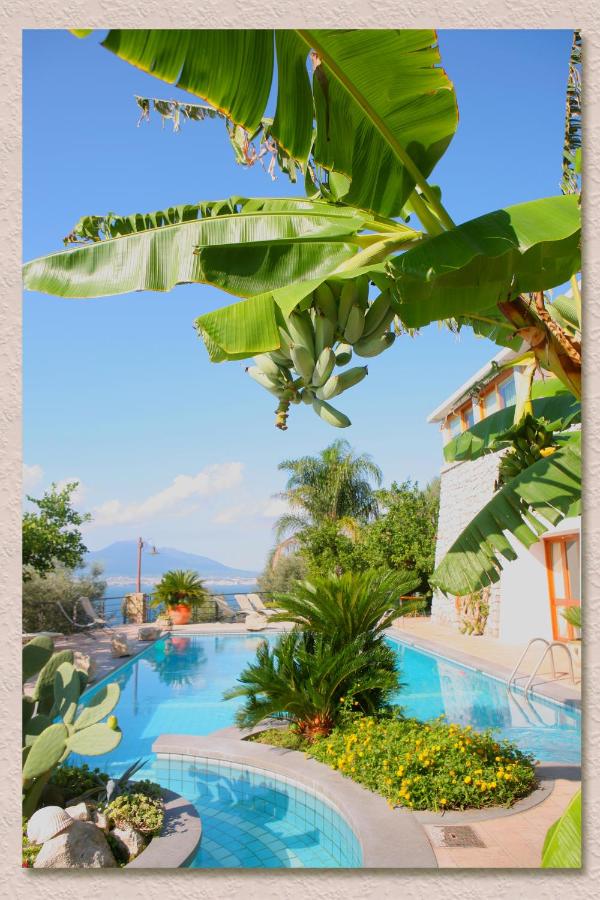 Villa Ketty Resort photo