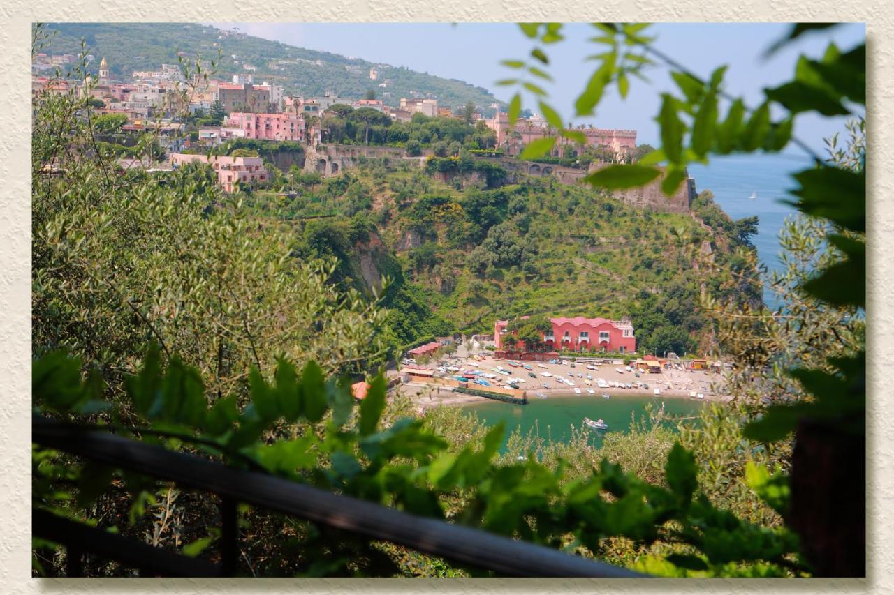 Villa Ketty Resort photo