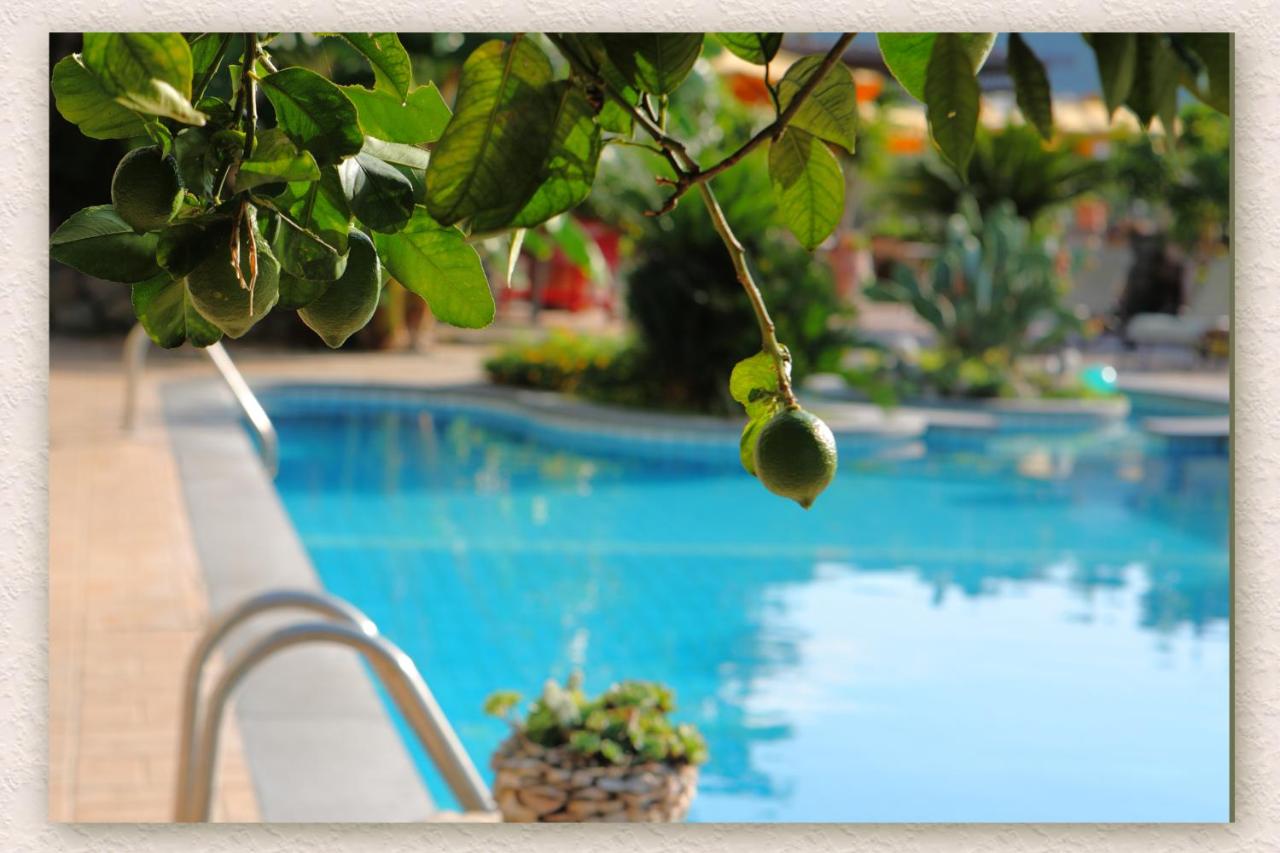 Villa Ketty Resort photo