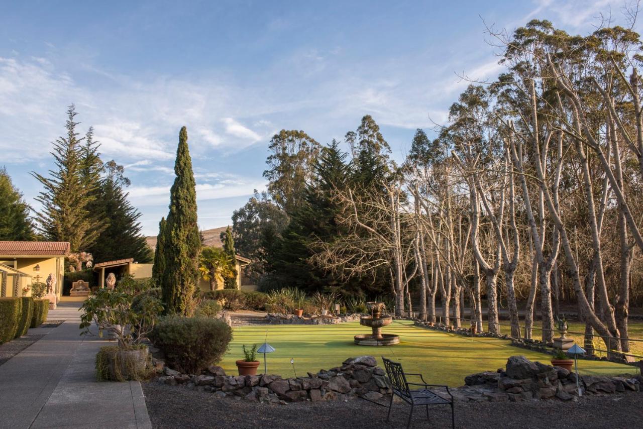 Sonoma Coast Villa — photo 10