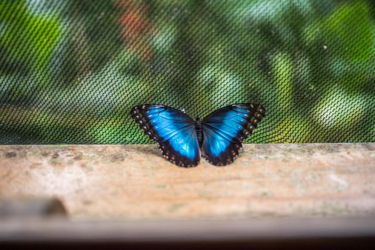 Si Como No Resort & Wildlife Refuge photo