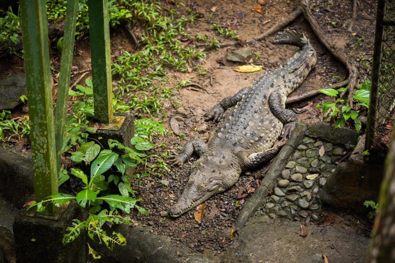 Si Como No Resort & Wildlife Refuge photo