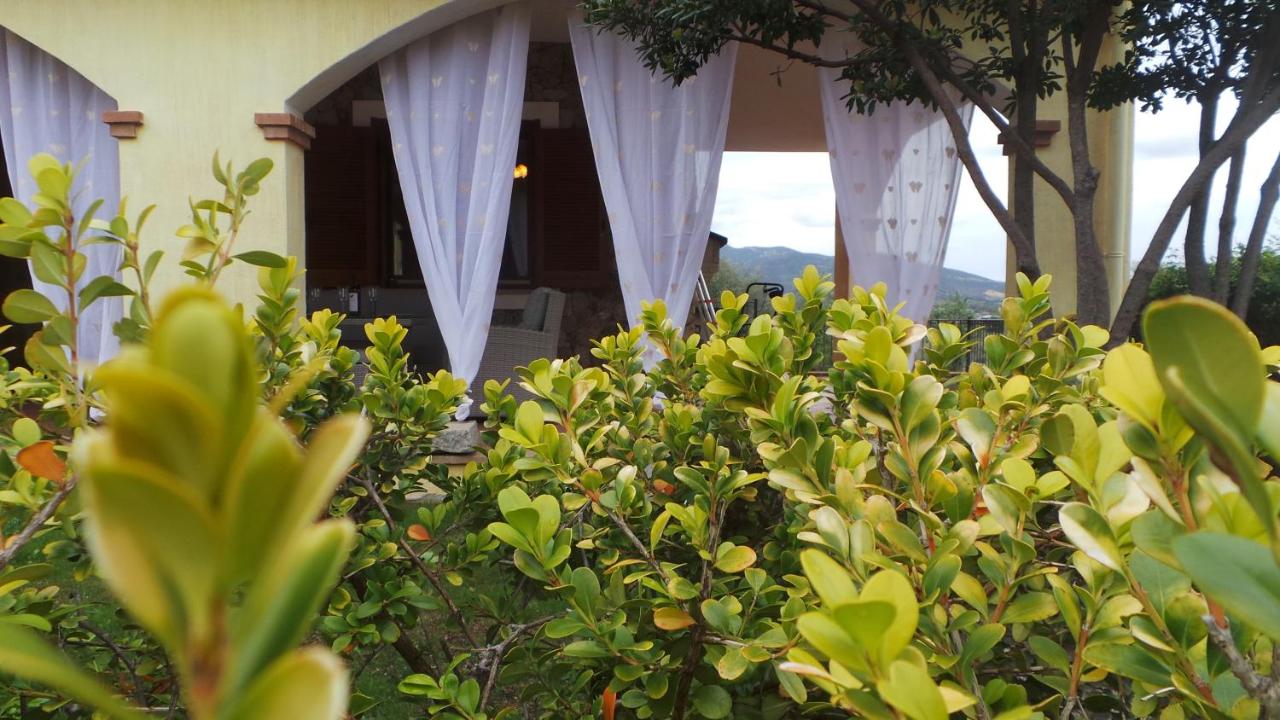 Villa Isabel photo