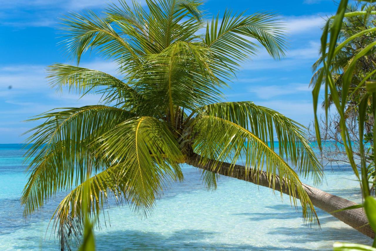 Beach: Dhiguveli Maldives