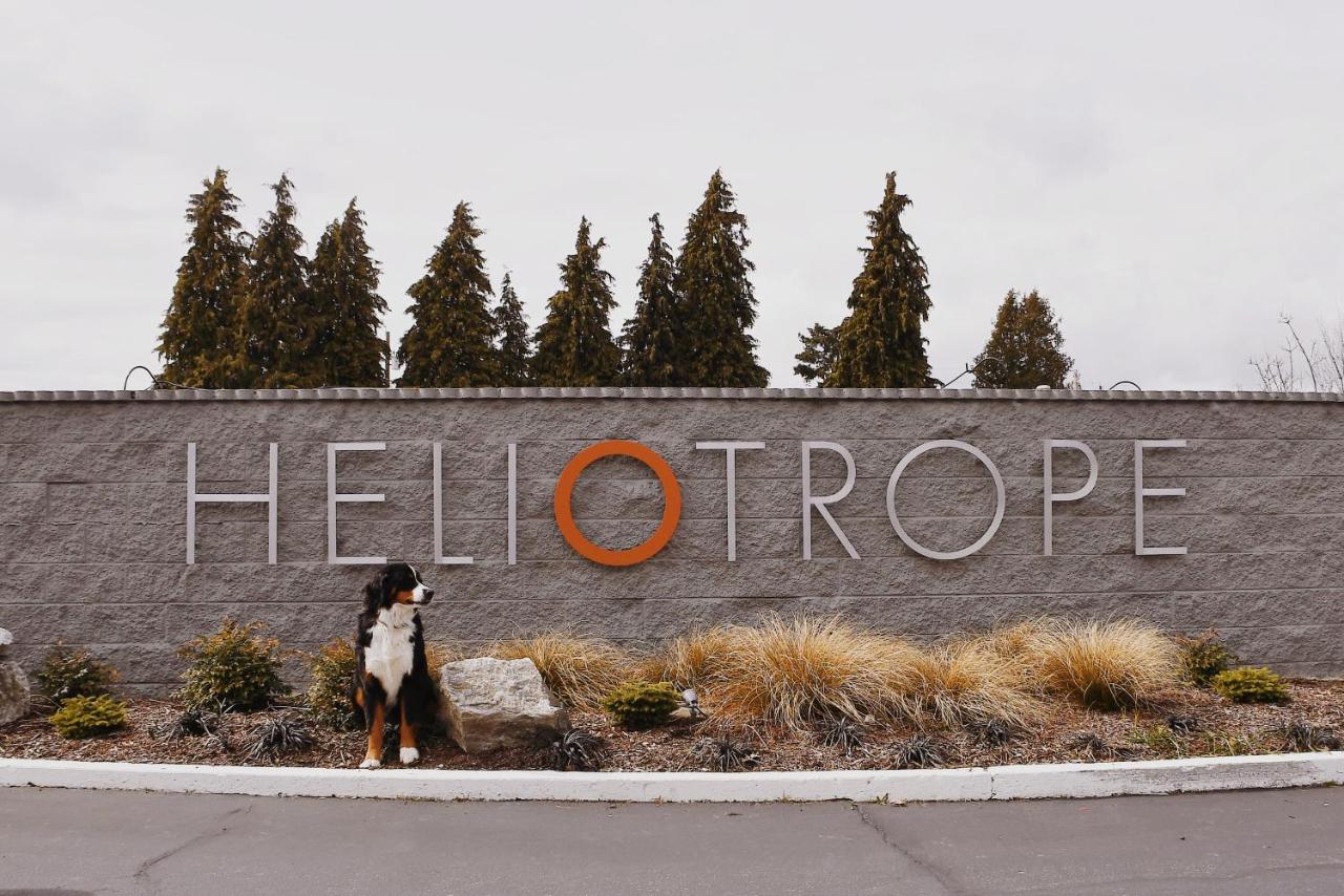 Heliotrope Hotel — photo 15