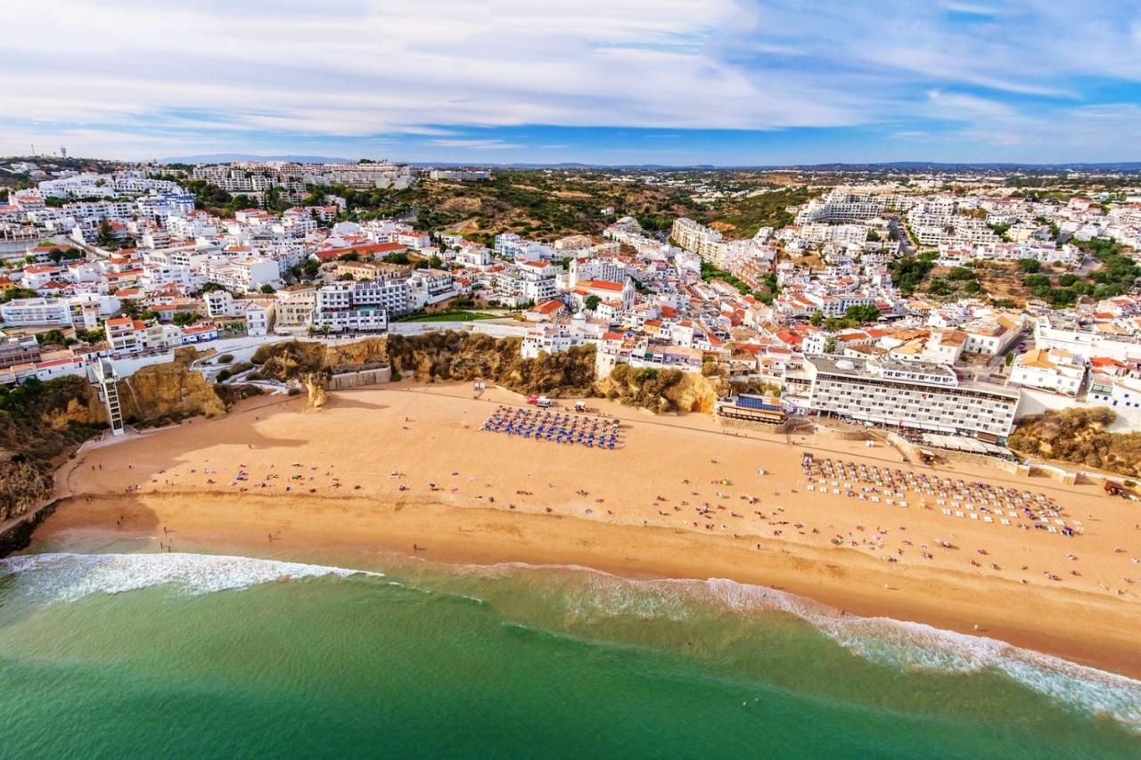 Son of a Beach Hostel - 4