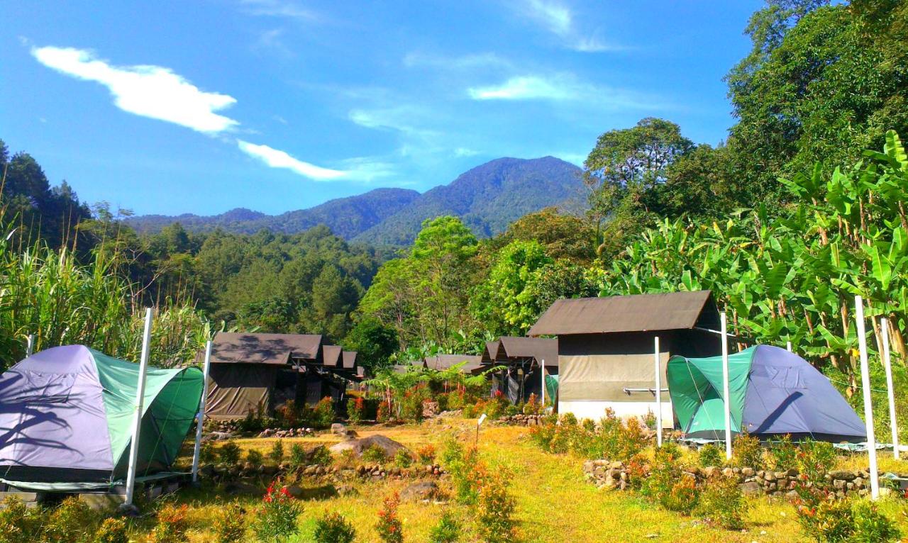Curug Nangka Green Glamping, Bogor - Booking.com