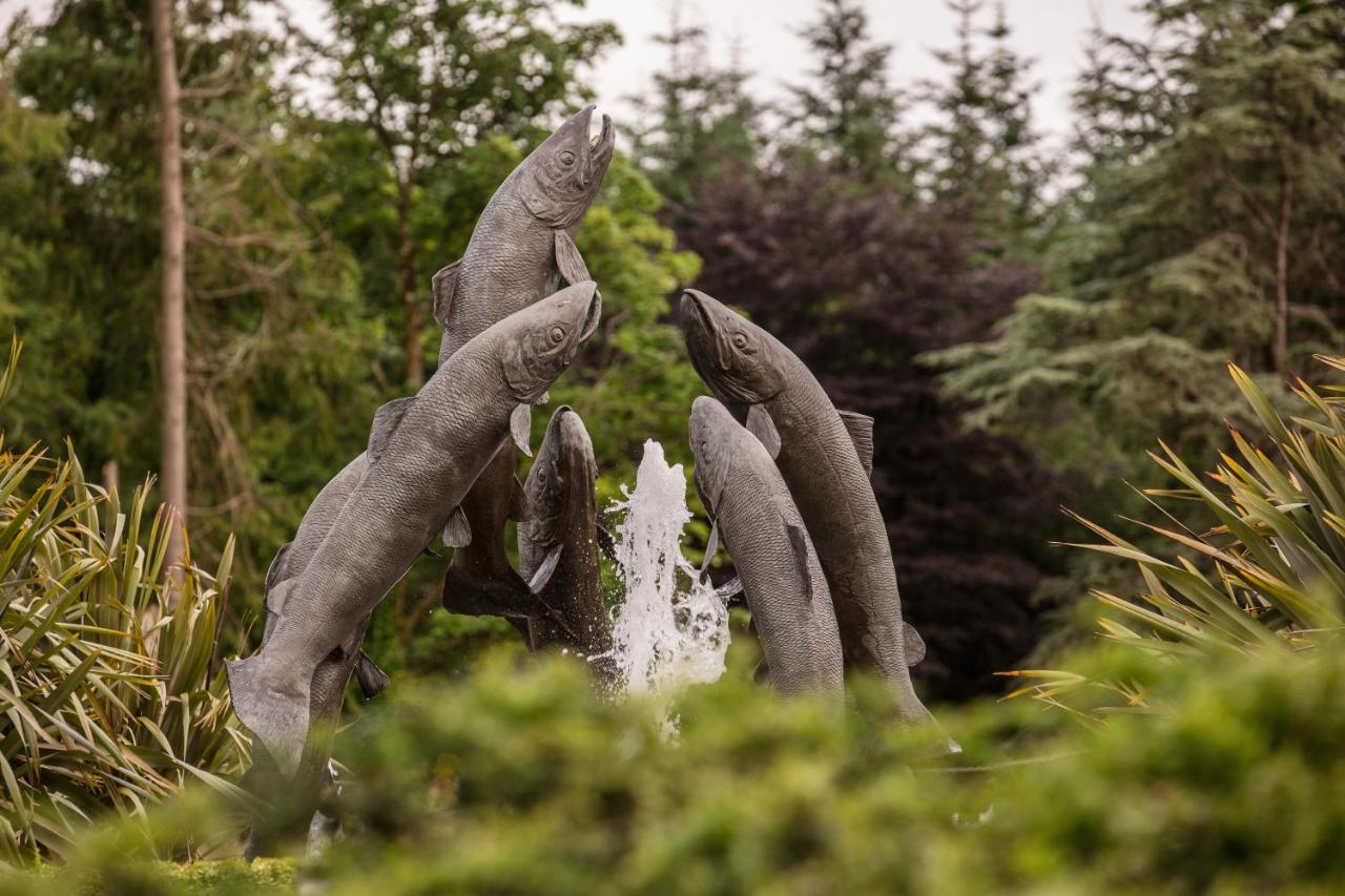 Фото Lough Eske Castle