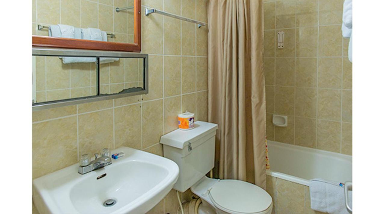 Sundreamer Suite @ Turtle Towers - 3