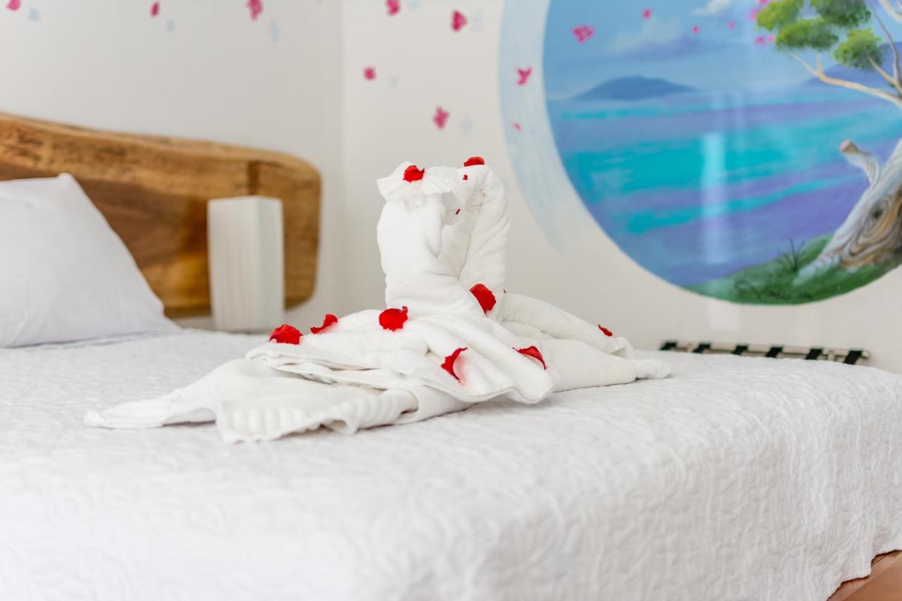 Boutique Hotel IBIZA photo