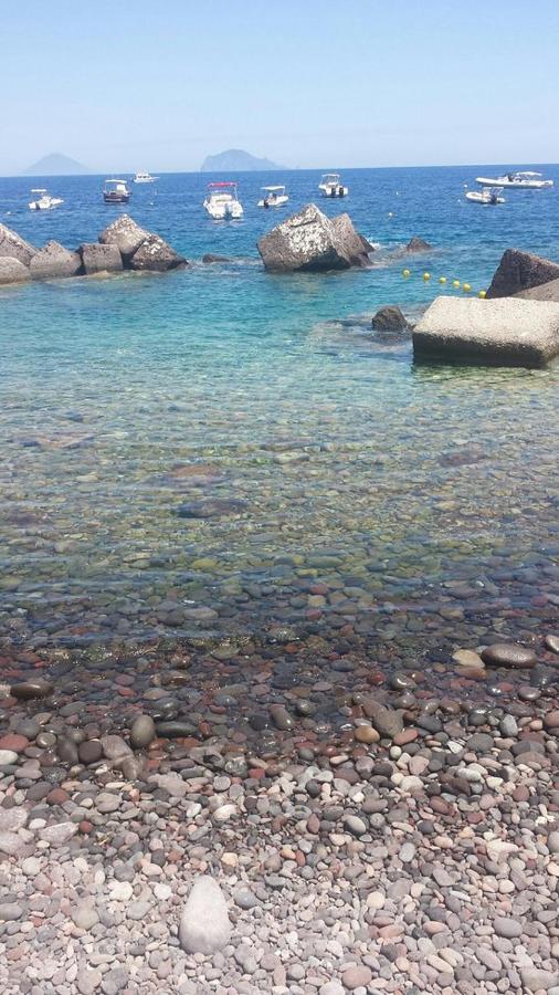 Il Delfino photo