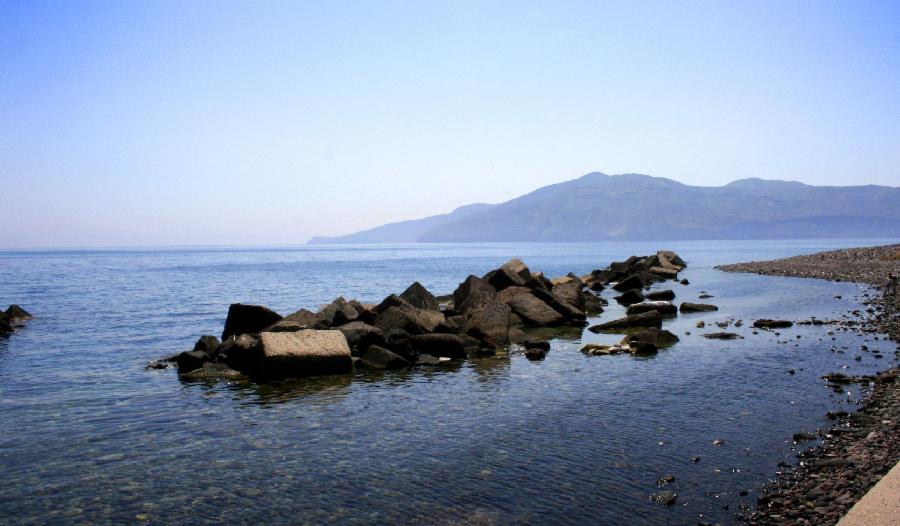 Il Delfino photo