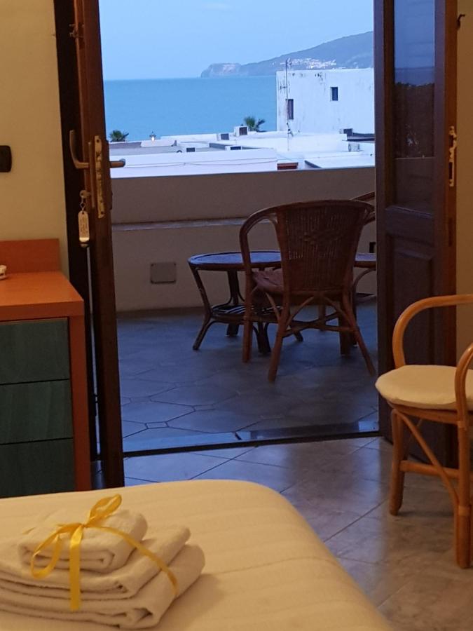 Il Delfino photo